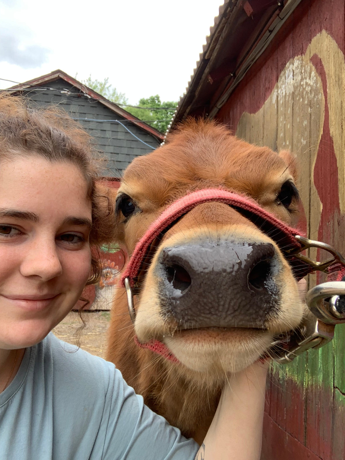 From the farm journal — Farm/Large Animal Intern Zoé