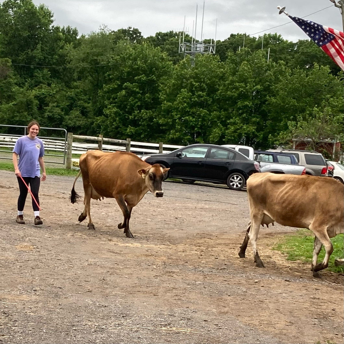 From the farm journal — Herder/Cheesemaking Intern - Kylie
