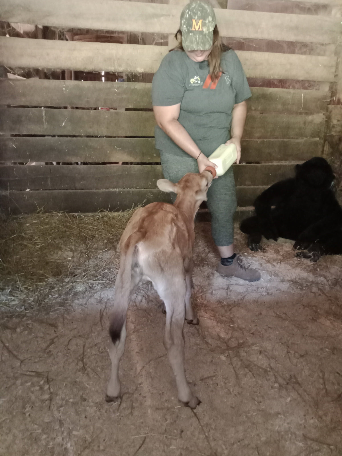 From the farm journal — Horse Camp - Session 2