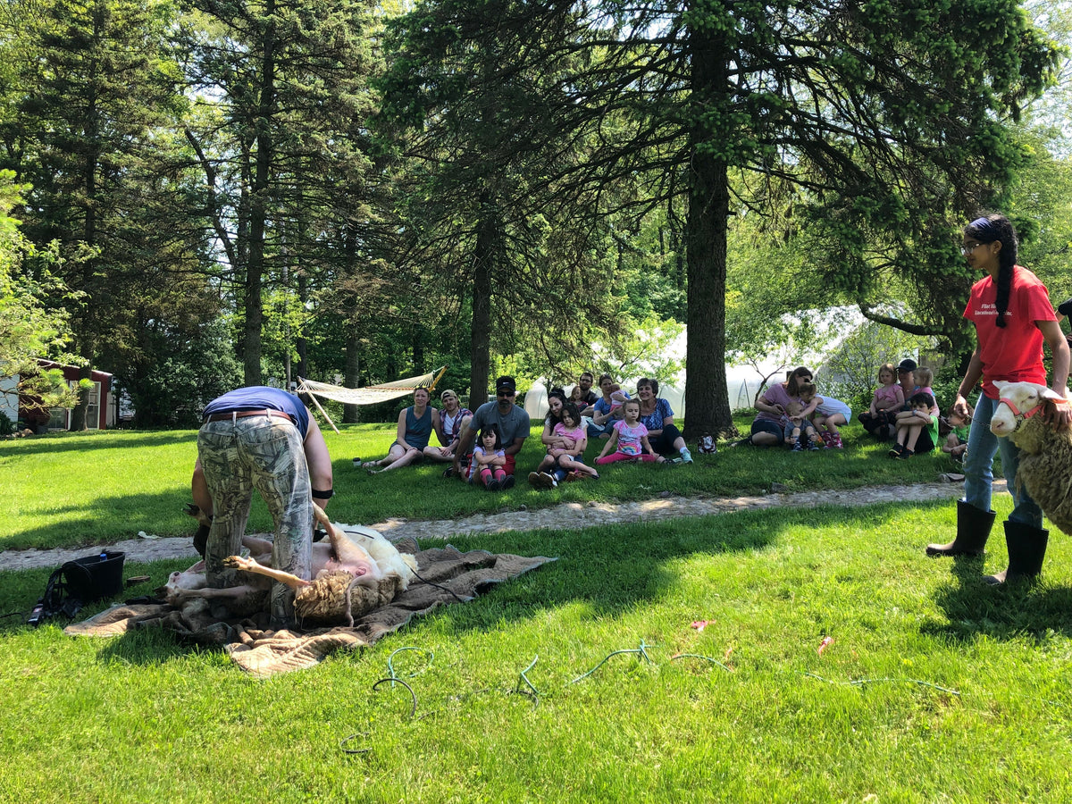 From the farm journal — Internship Blog by Shelby Mumma