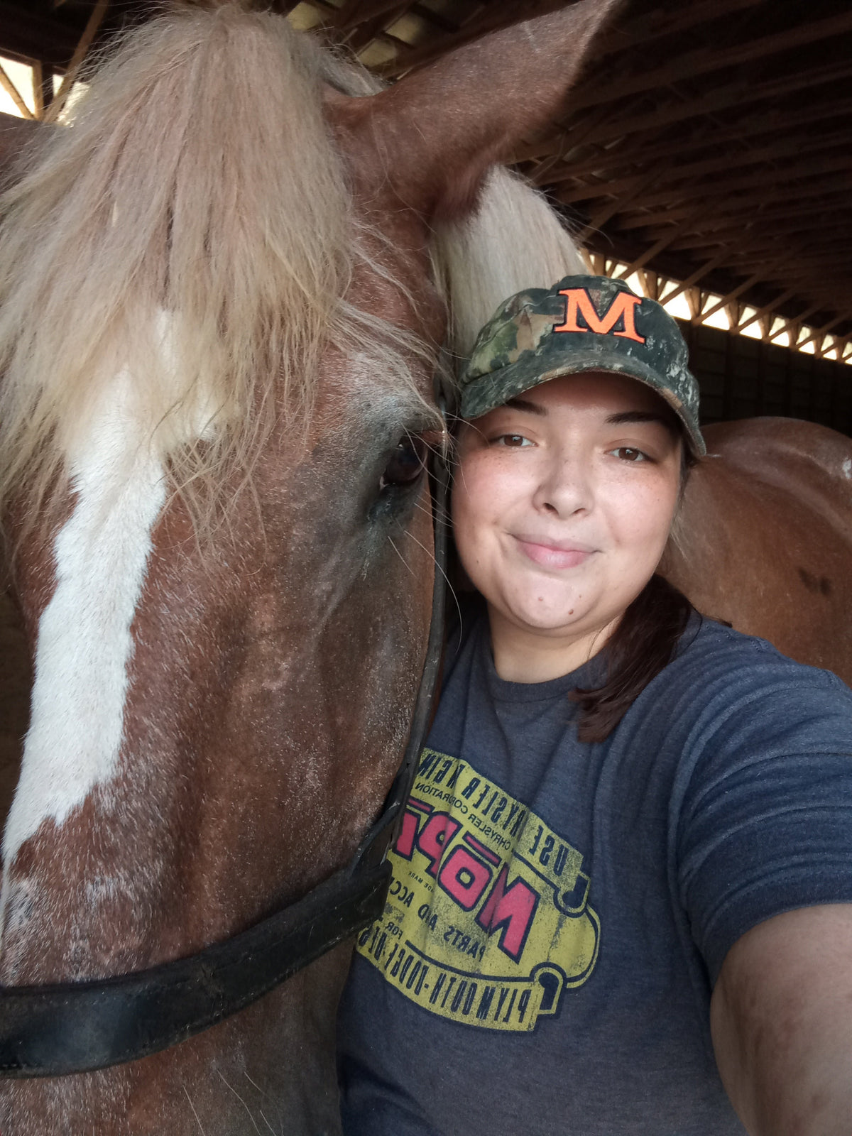 From the farm journal — Introduction - Sarah