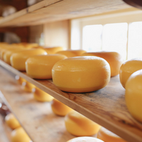 Cheese Making Class