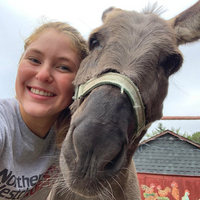 Sponsor an Animal Gift Certificate