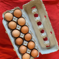 Chicken Eggs