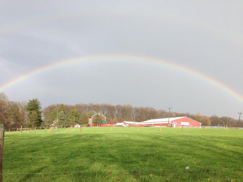 Double rainbow over the Flint Hill Farm barns and pasture