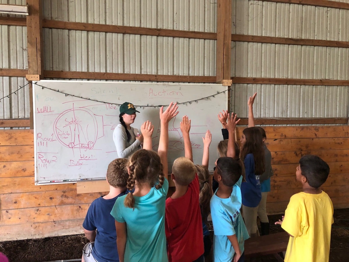 Children with hands raised in a barn classroom while an instructor teaches from a whiteboard diagram of a horse's hoof labelled wall, sole, frog and white line