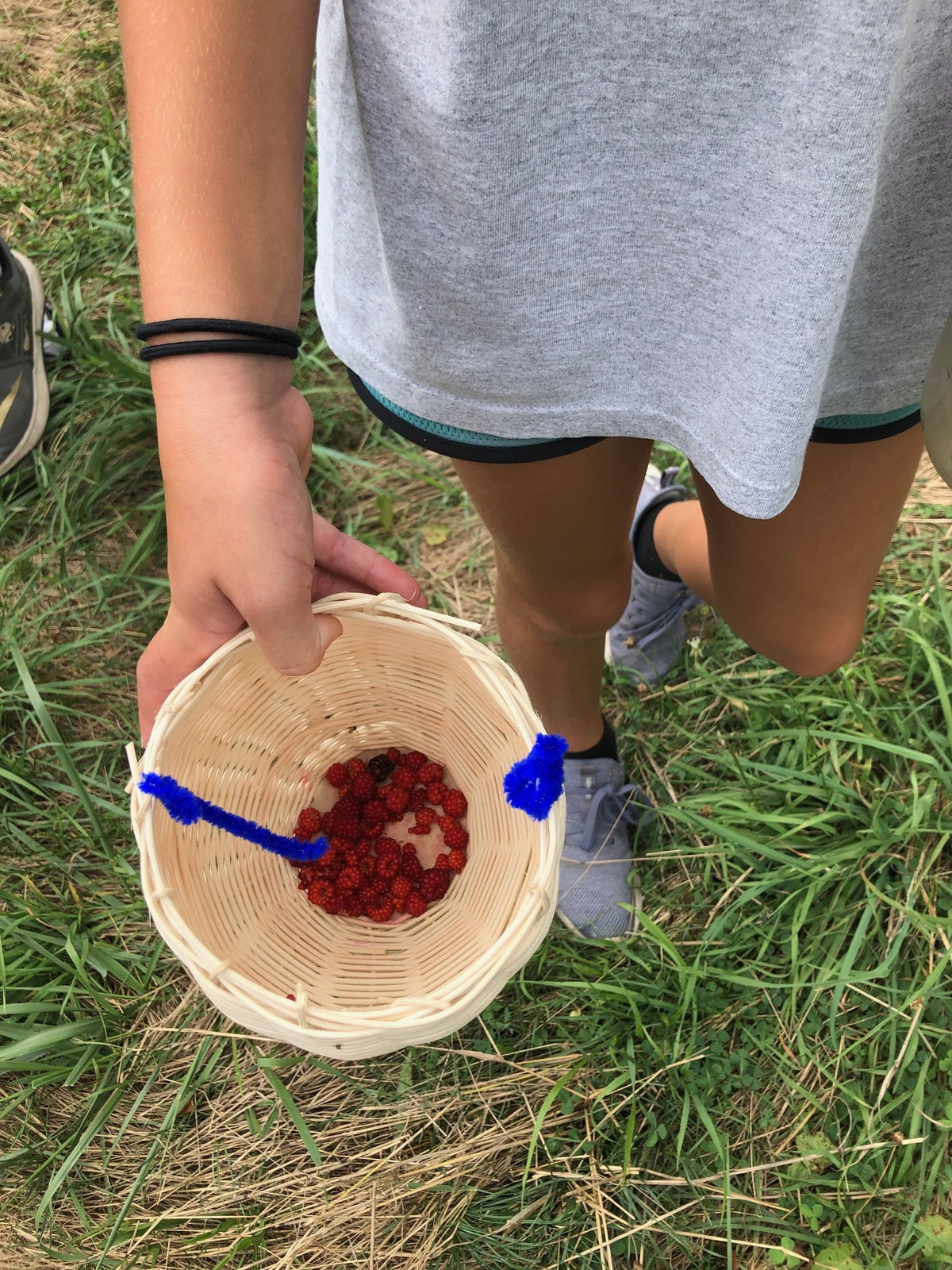 A child holding a small woven basket of foraged wineberries while standing in tall grass