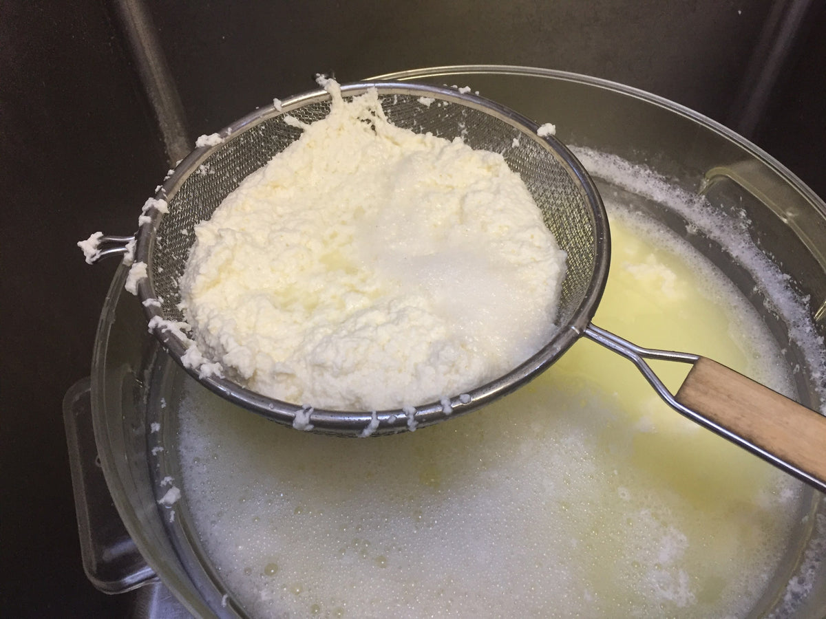 Fresh curd draining in a mesh strainer over a pot of steaming whey