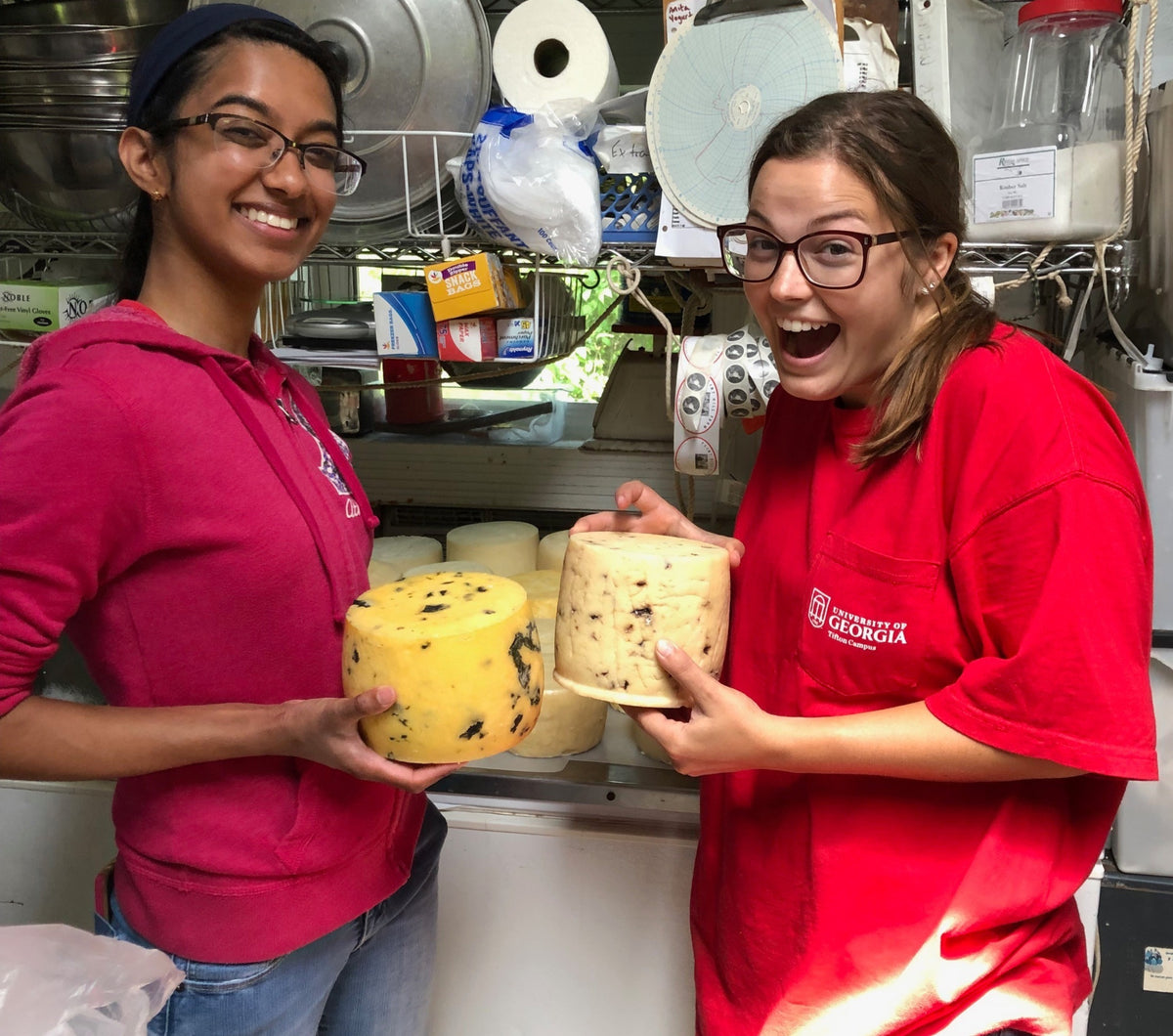 Two people in the cheese room each holding a large wheel of farmstead cheese