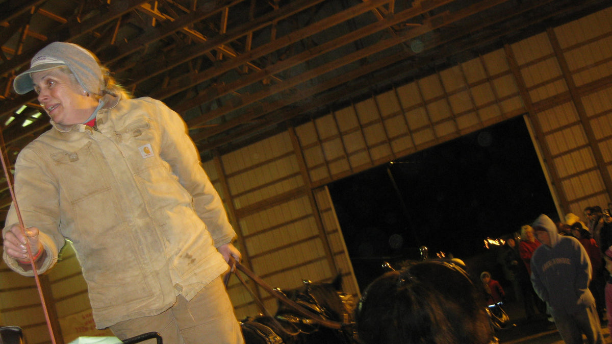 An adult in a Carhartt coat and cap holding driving lines and a whip beside a harnessed dark horse in a lit pole barn at night, spectators behind