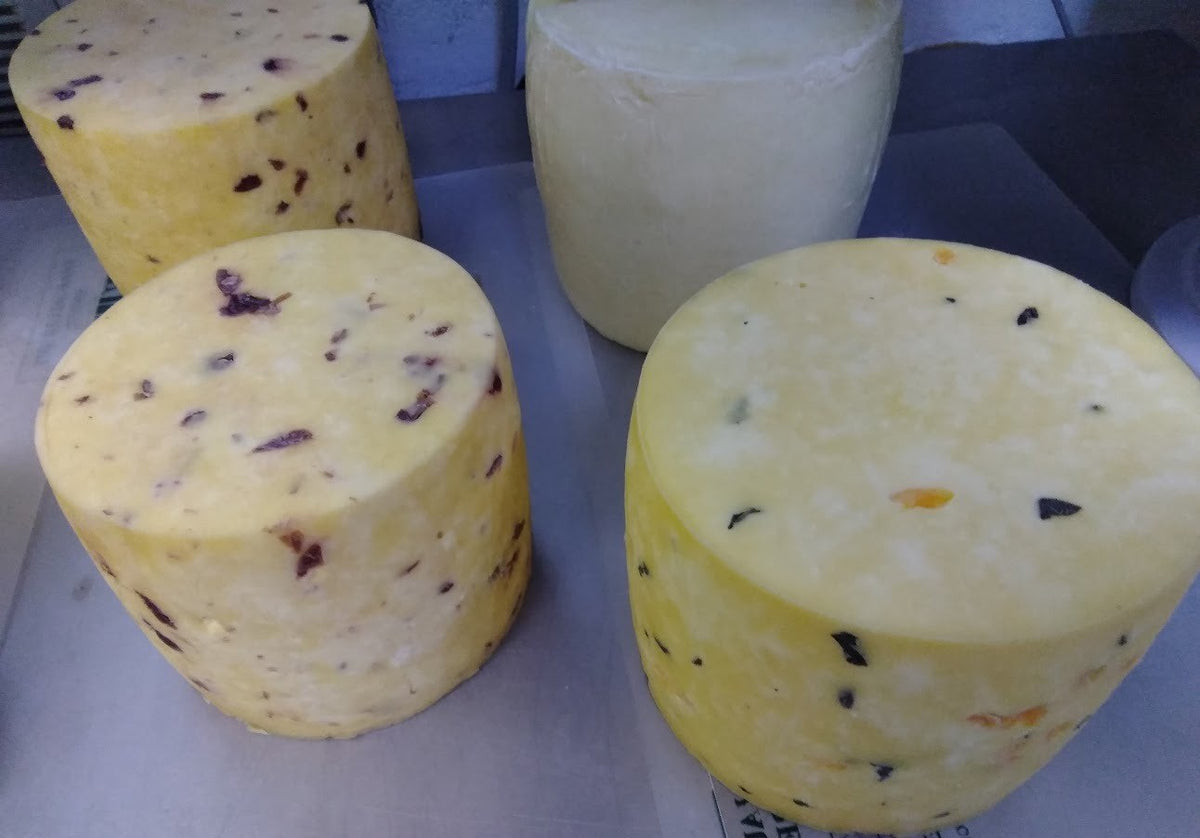 Four cheese rounds on a paper-lined stainless table: two with dried cranberries, one plain fresh round, one with black olive and pepper