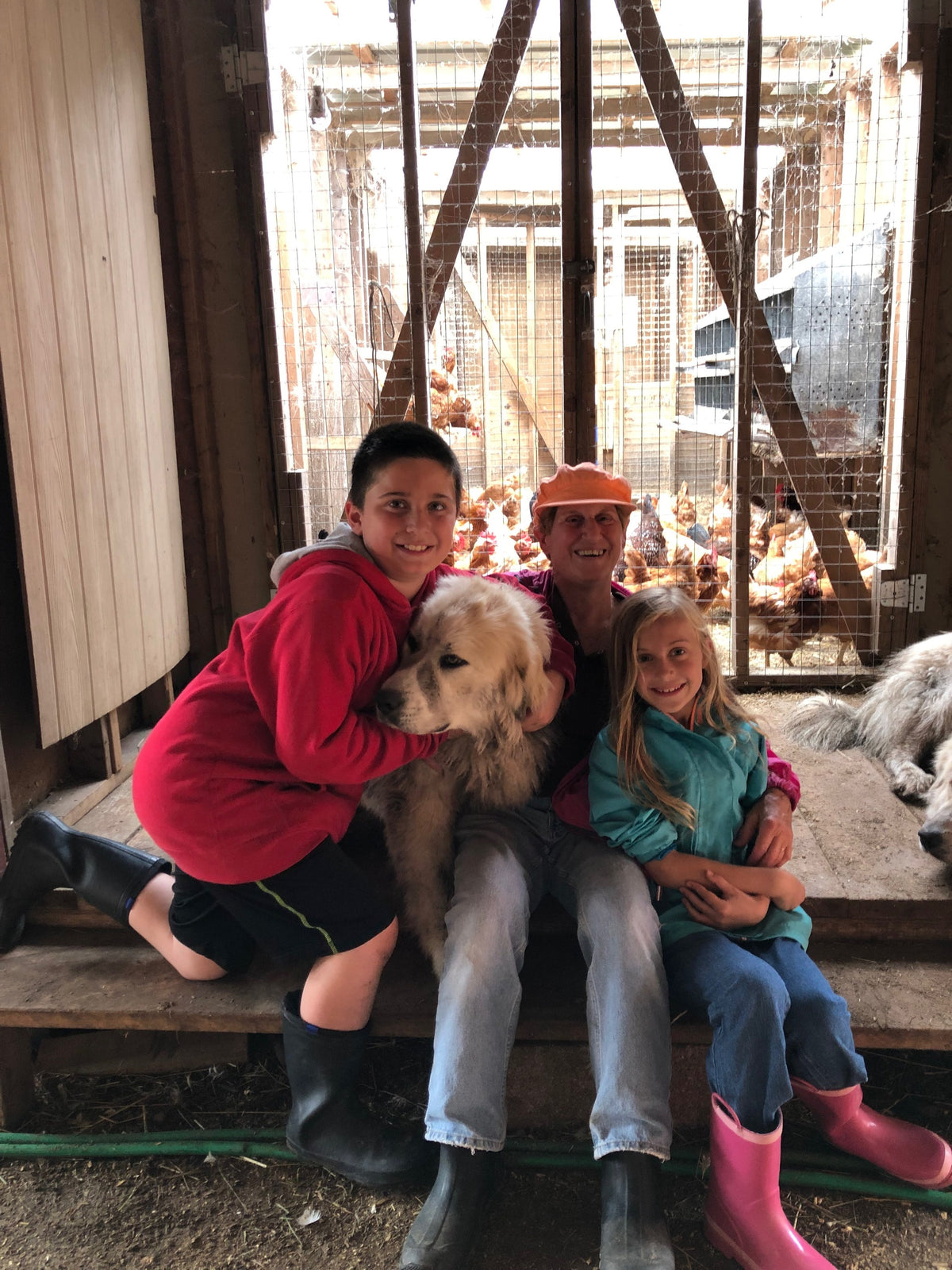 Two children and an adult crouched on the chicken house floor hugging a young Great Pyrenees guardian dog, laying hens behind the wire
