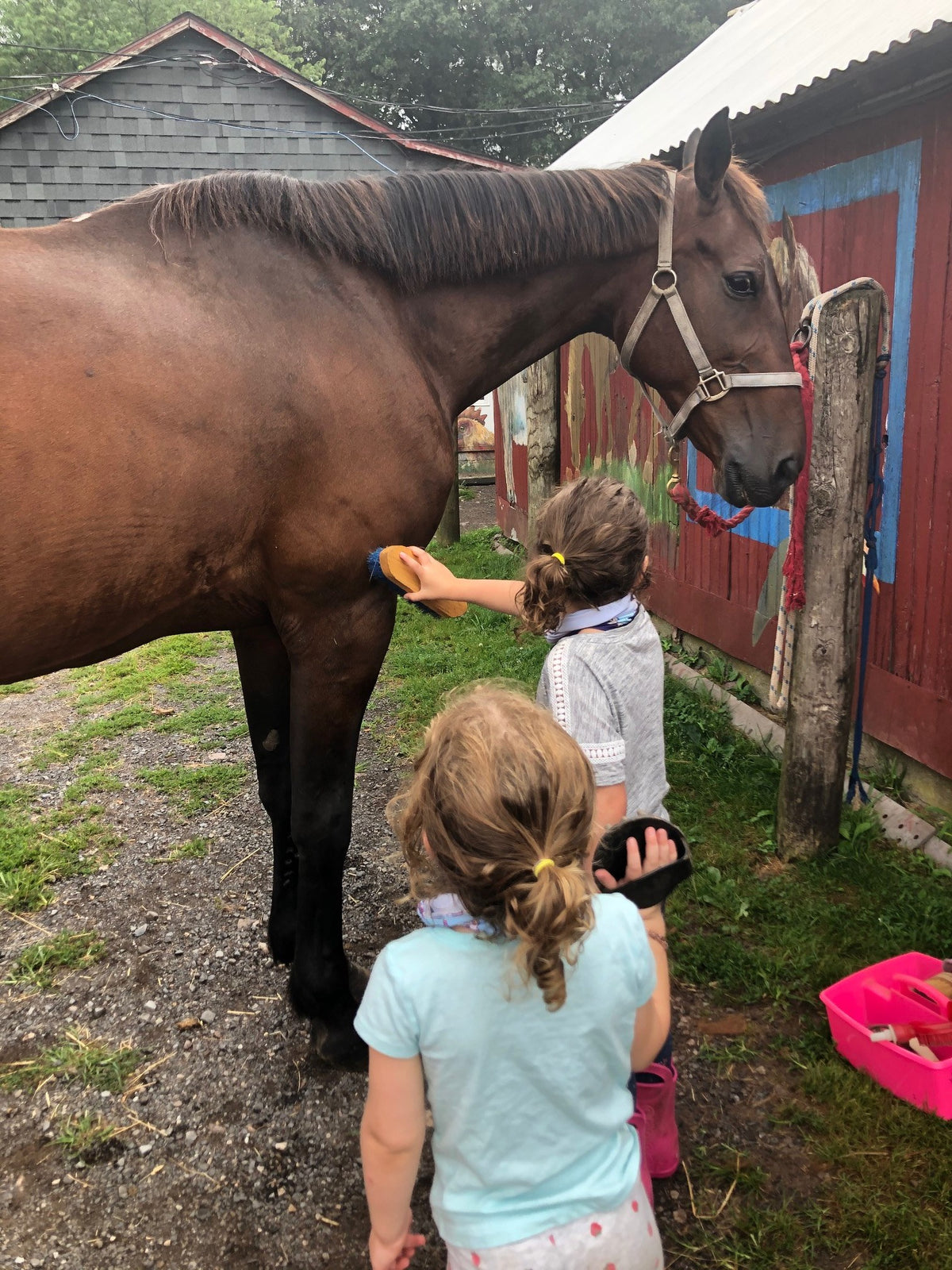 Two young children grooming a bay horse tied at a hitching rail outside a red barn with a mural, one holding a brush to its side