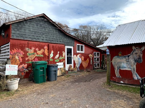 Farmyard driveway between two red outbuildings, one with a mural of hens and a rooster, the other with a donkey, a farm-store sign by the door