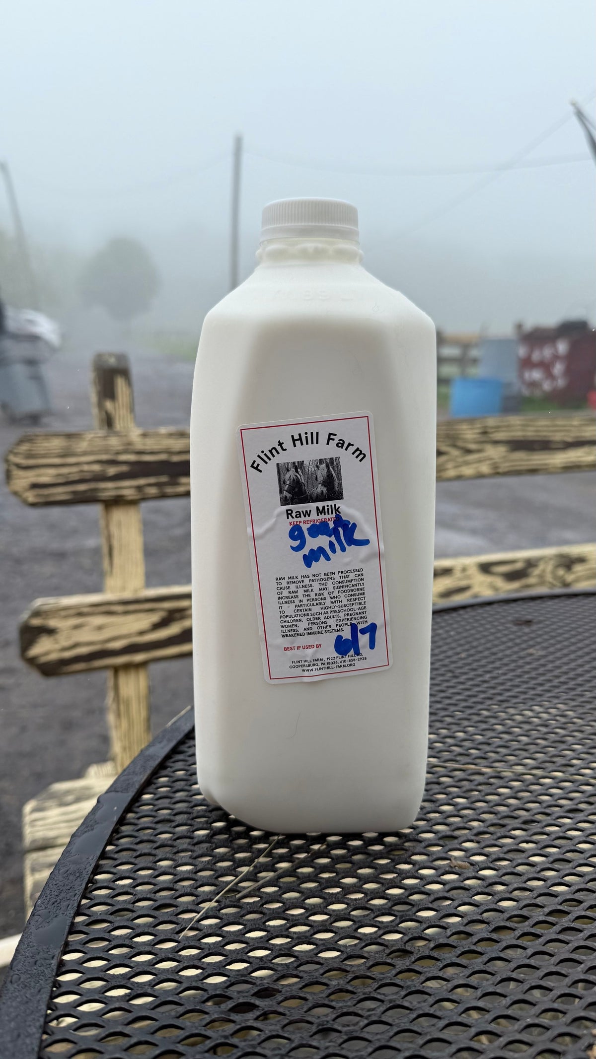 Half-gallon jug of Flint Hill Farm milk on a patio table in dense fog, its Raw Milk label hand-marked goat milk in blue marker
