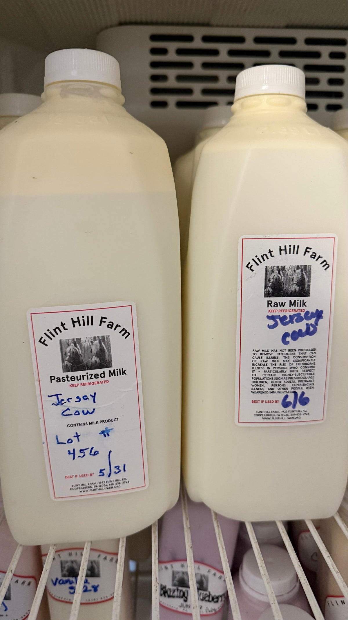Two half-gallon jugs in the store cooler, one Pasteurized Milk and one Raw Milk, both Jersey cow with the Flint Hill Farm draft-horse label