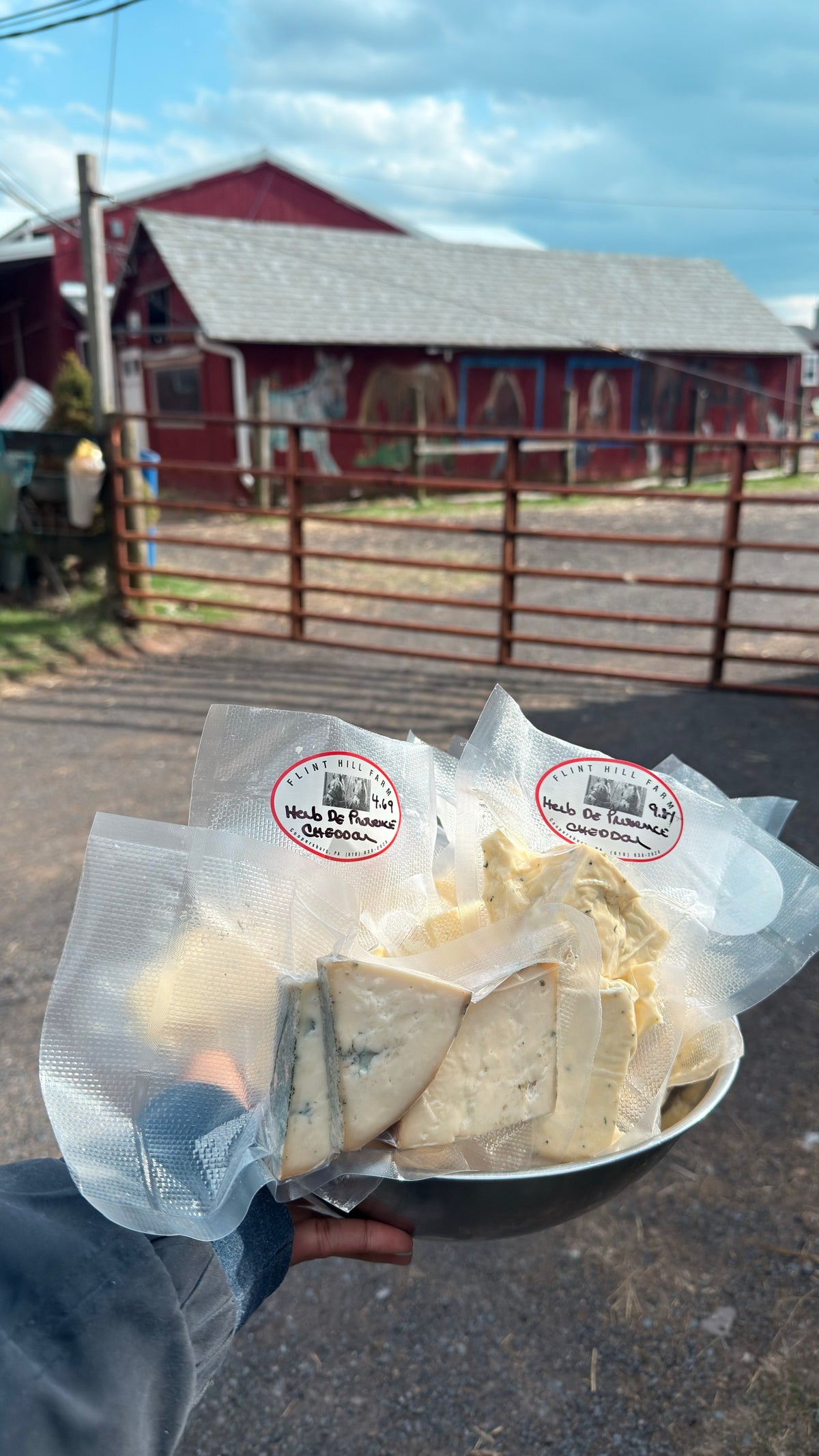 A hand holding a steel bowl heaped with vacuum-sealed wedges of Flint Hill Farm cheese, including Herb De Provence Cheddar, by the red barn