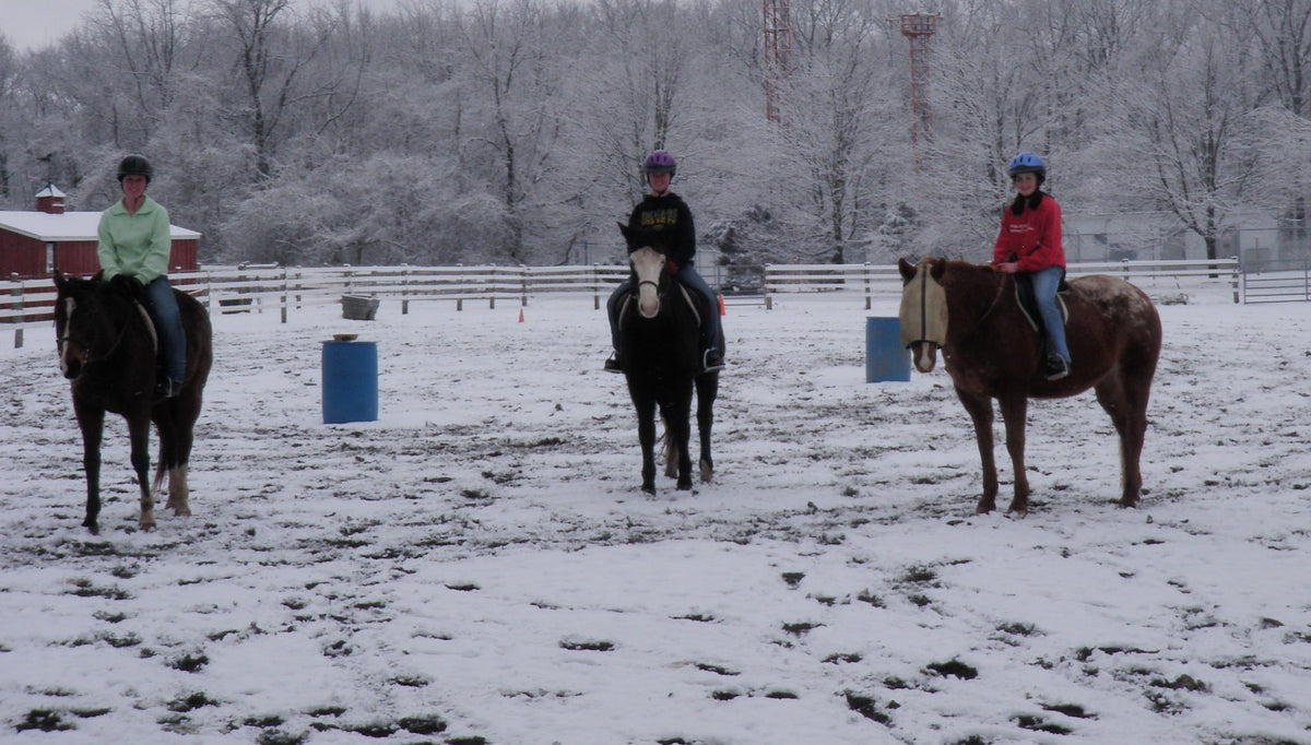 Three helmeted riders on horseback lined up in a snowy outdoor riding ring, blue barrels, white fencing and snowy woods behind