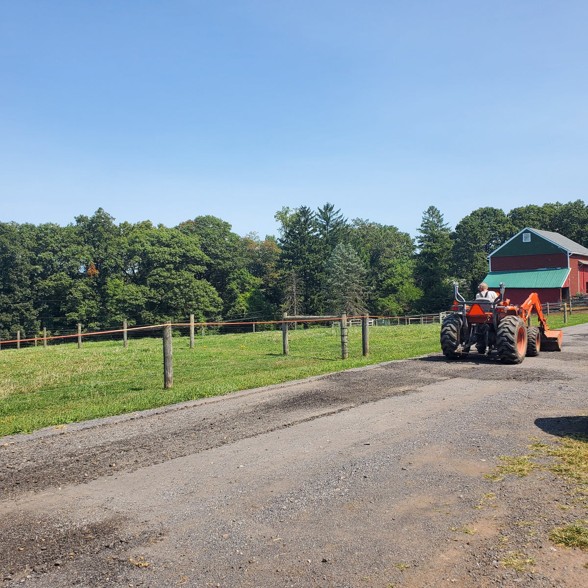 Orange Kubota tractor with a front loader driving up the gravel farm lane, driver seen from behind, the red bank barn and tree line ahead