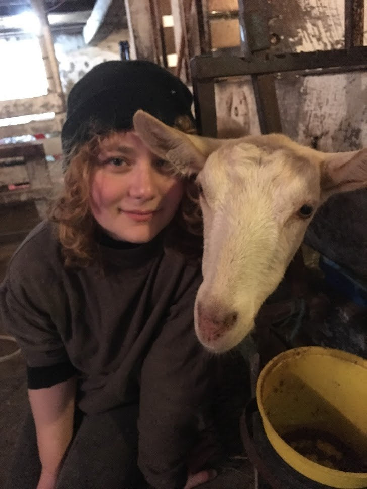 A young person in a dark knit cap crouched in the dim barn, cheek-to-cheek with a white Saanen-type goat leaning its head against them