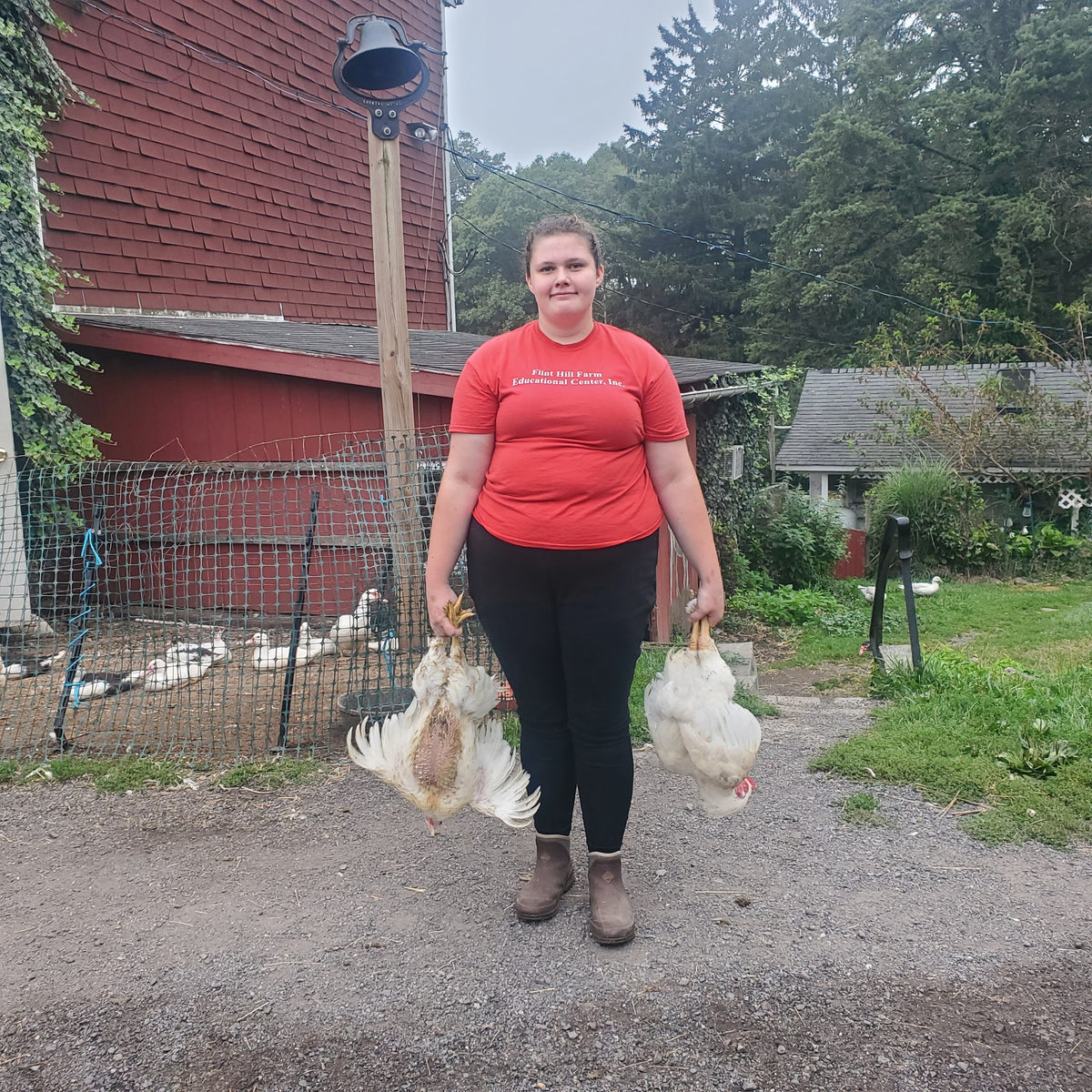 A young person in a red Flint Hill Farm Educational Center, Inc. T-shirt on the farm lane holding two dressed chickens by the legs