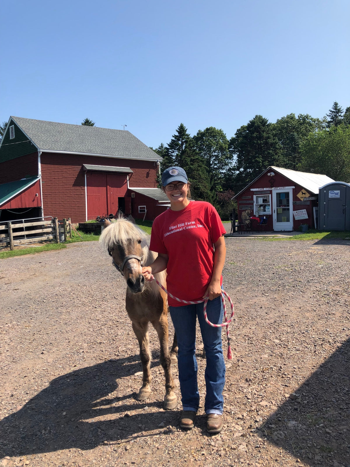 A young adult in a red Flint Hill Farm Educational Center T-shirt leading a flaxen-maned Haflinger pony along the gravel drive
