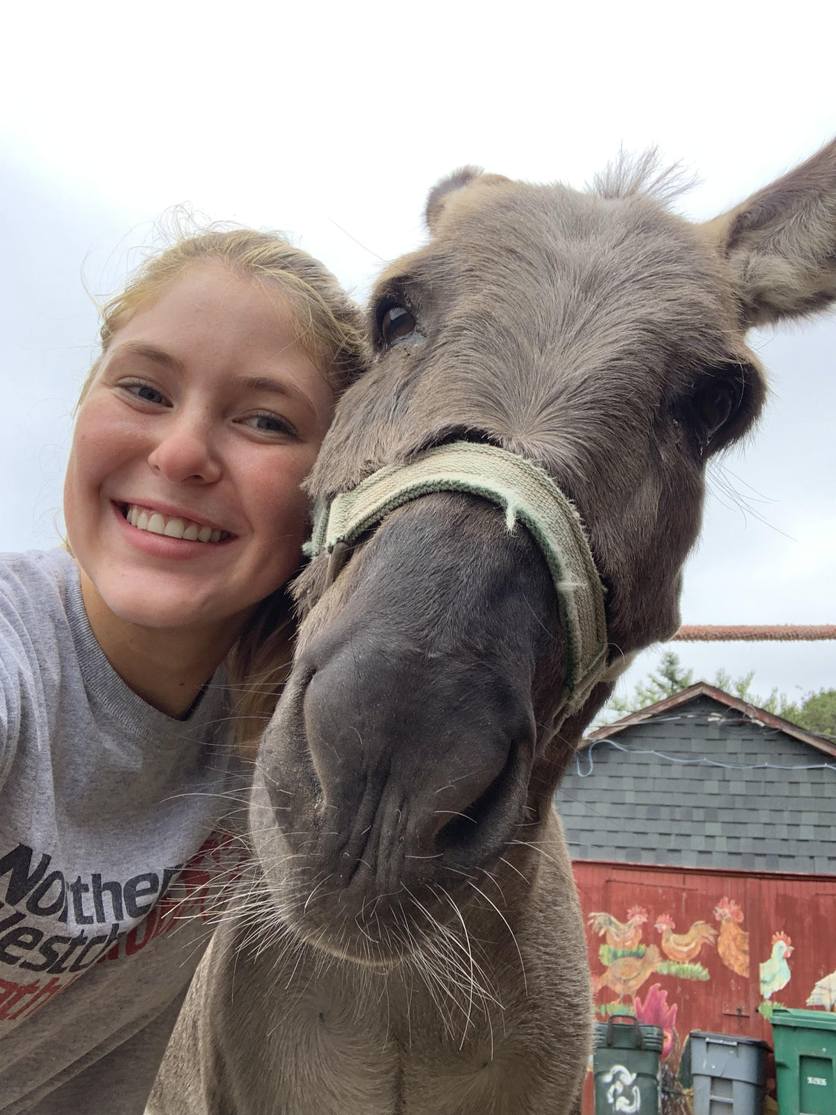 Selfie of a young adult cheek-to-cheek with a gray donkey in a green web halter, a red barn painted with folk-art chickens behind