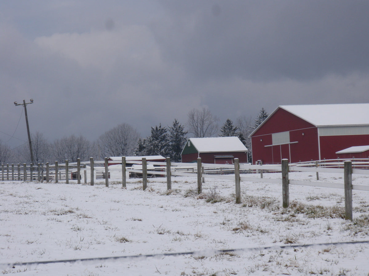Winter farm view: snow-covered pasture behind white post-and-rail fencing, the large red bank barn and indoor arena under a heavy gray sky
