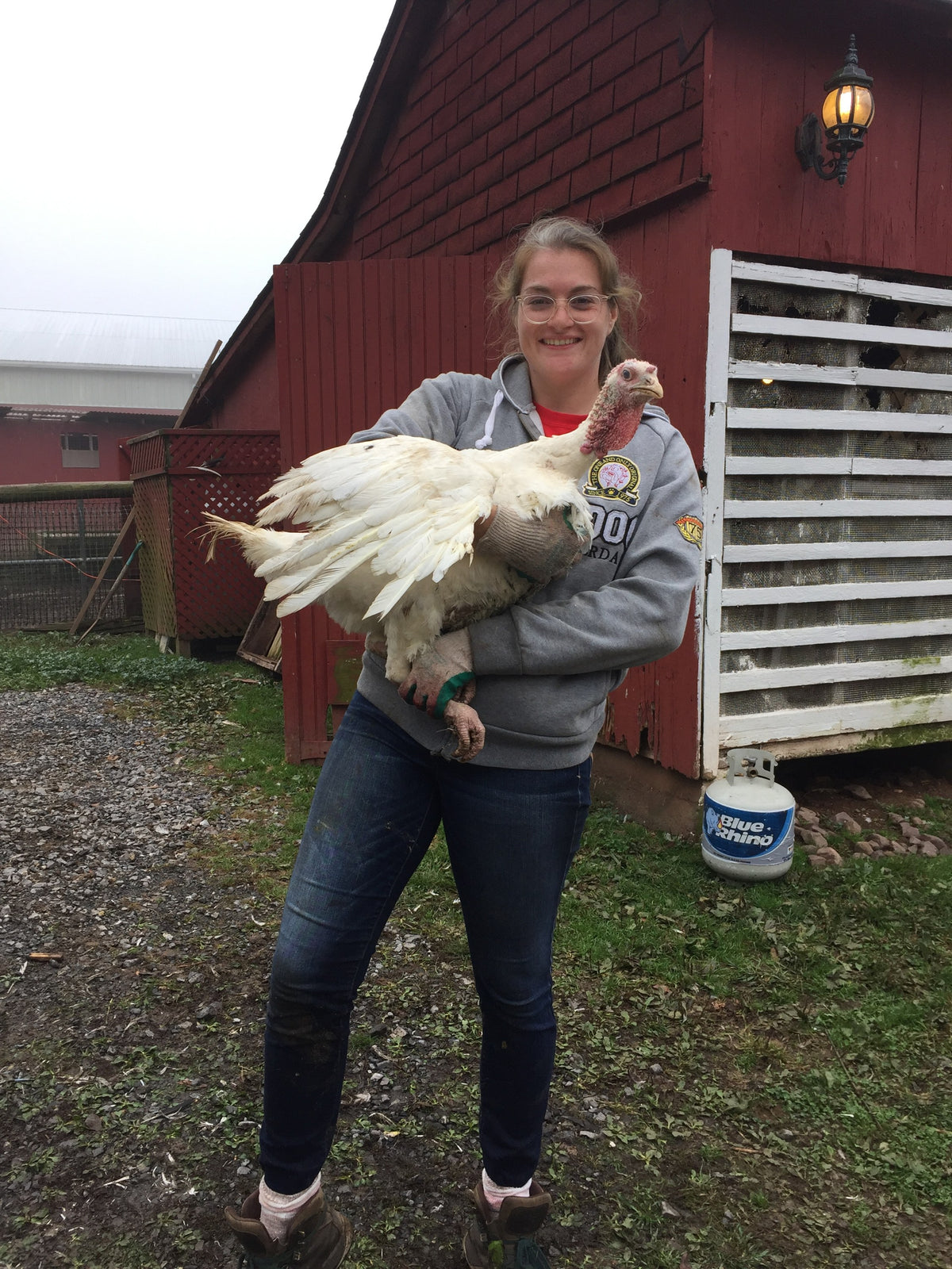 A woman in a gray hooded sweatshirt smiling as she cradles a large live white Broad Breasted turkey outside the red farmhouse porch