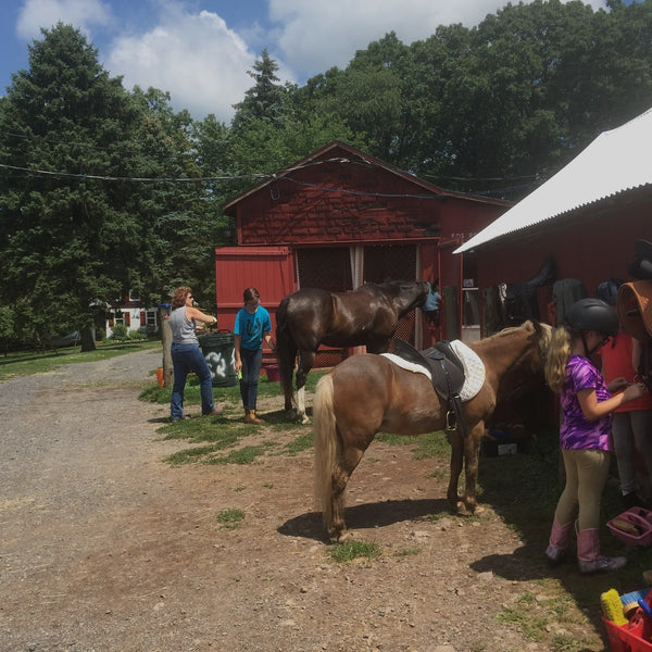 An adult and a young person leading a dark bay horse past a red outbuilding, a tacked pony waiting