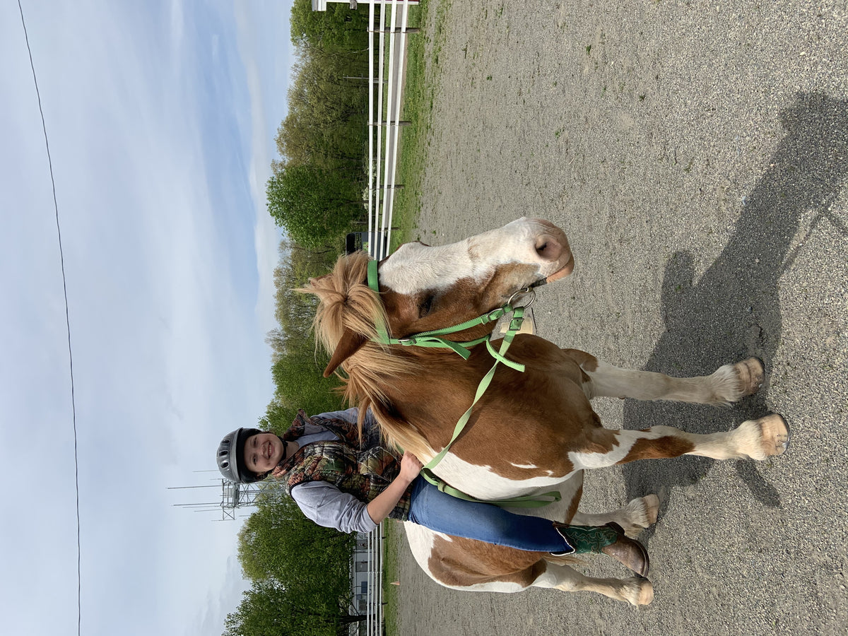 A child in a riding helmet sitting bareback on a chestnut-and-white pinto pony