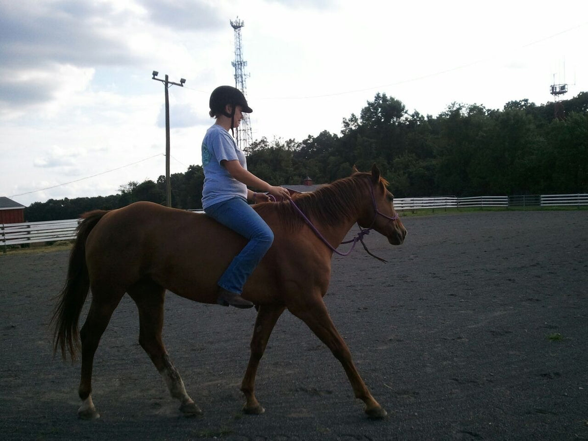 A helmeted rider on a chestnut horse in the outdoor sand ring