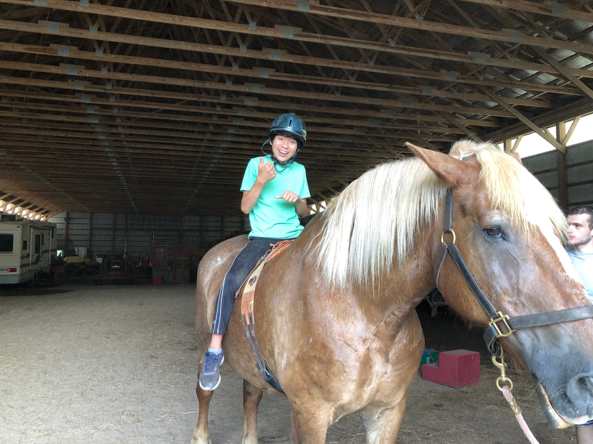 A young rider in a helmet giving a thumbs-up on a chestnut draft-type horse