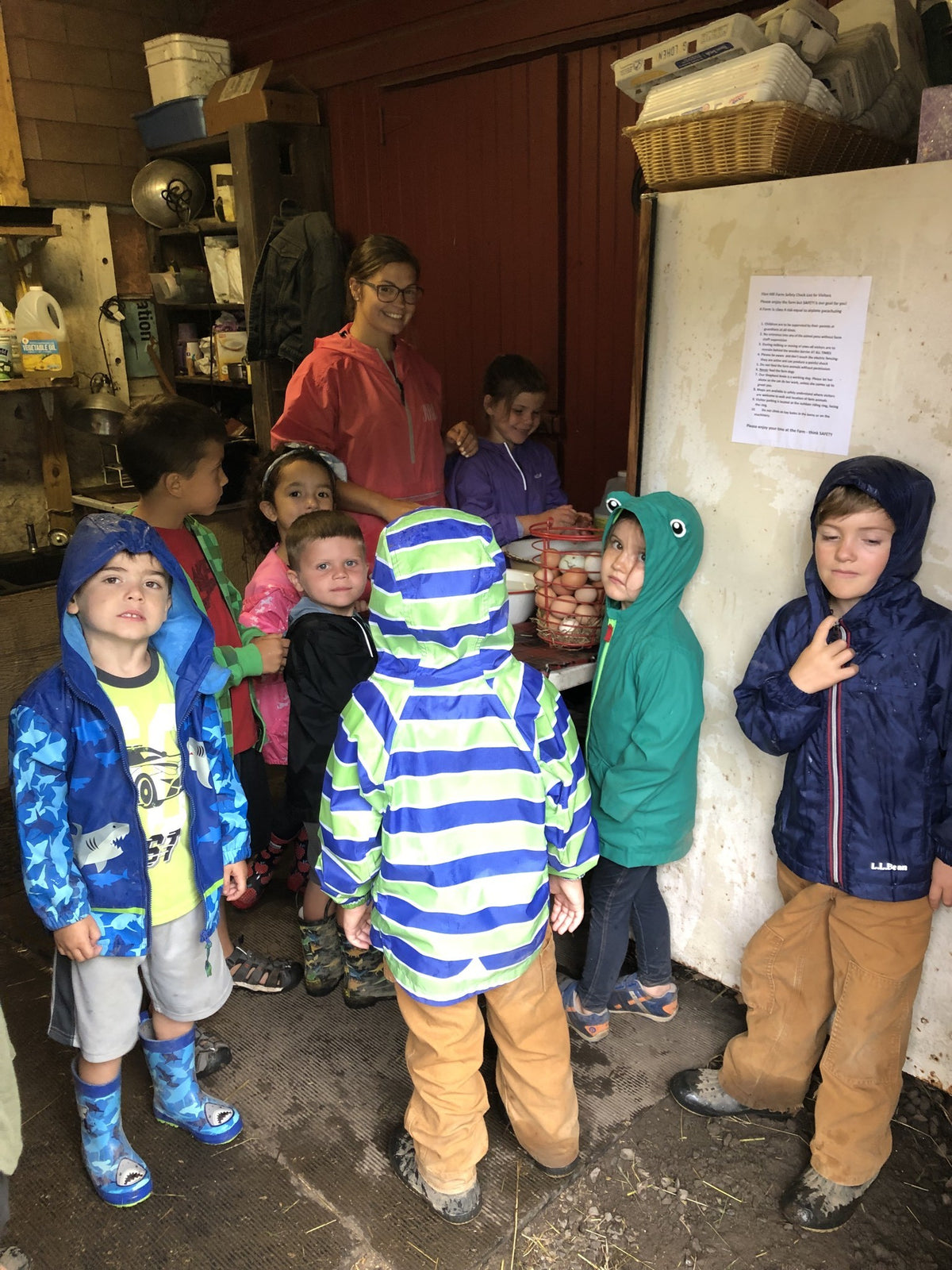 Children in rain jackets and wellingtons crowded into the farm egg room, wire baskets of brown and white eggs on the counter