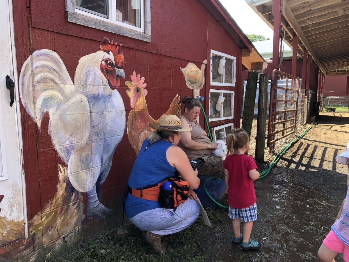 Beside a barn wall painted with a mural of a rooster and hen, an adult seated on a crate holds a white rabbit out toward a small child reaching for it