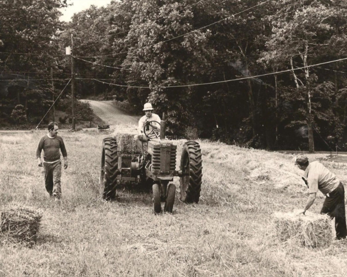 Three men haying a field with a vintage tractor, in an archival photograph
