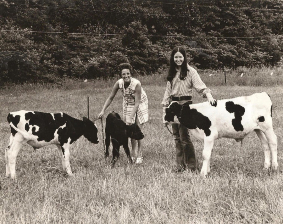 Two women standing with three Holstein calves in a pasture, in an archival photograph