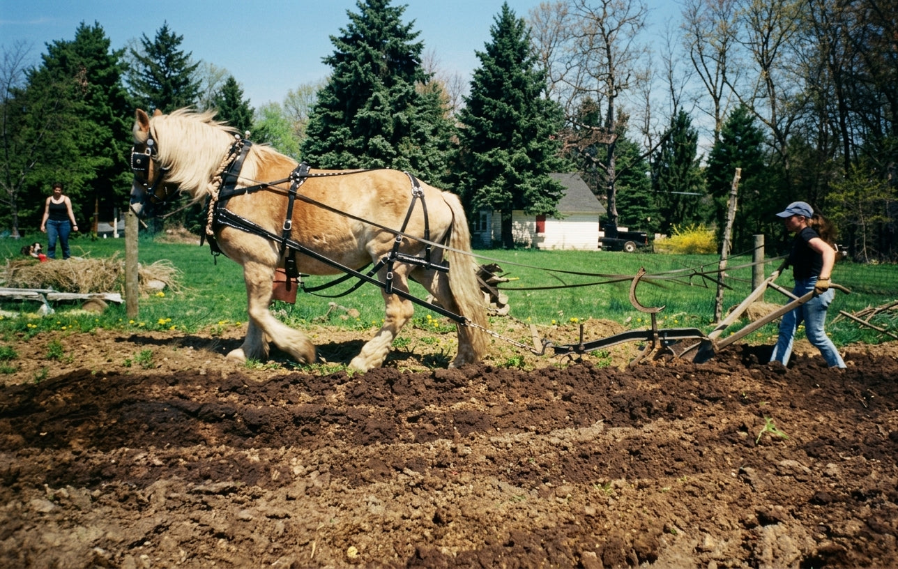 A draft horse pulling a single-furrow plow through spring soil, one person guiding the plow handles