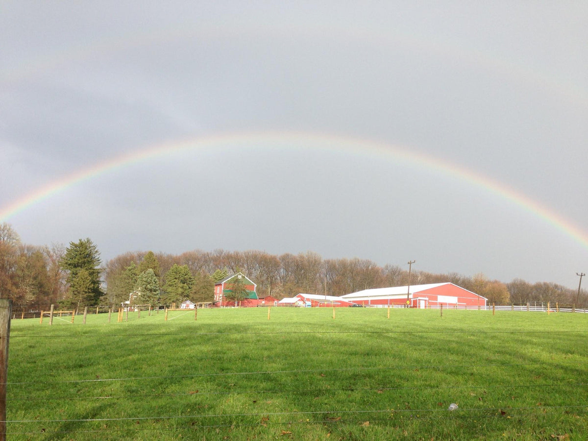 A rainbow arcing over the red barn at Flint Hill Farm