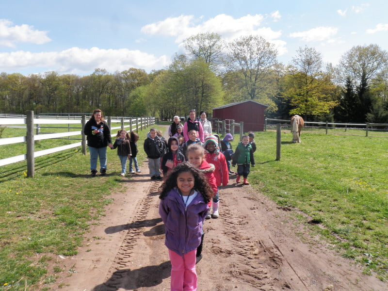 A school group on a farm tour