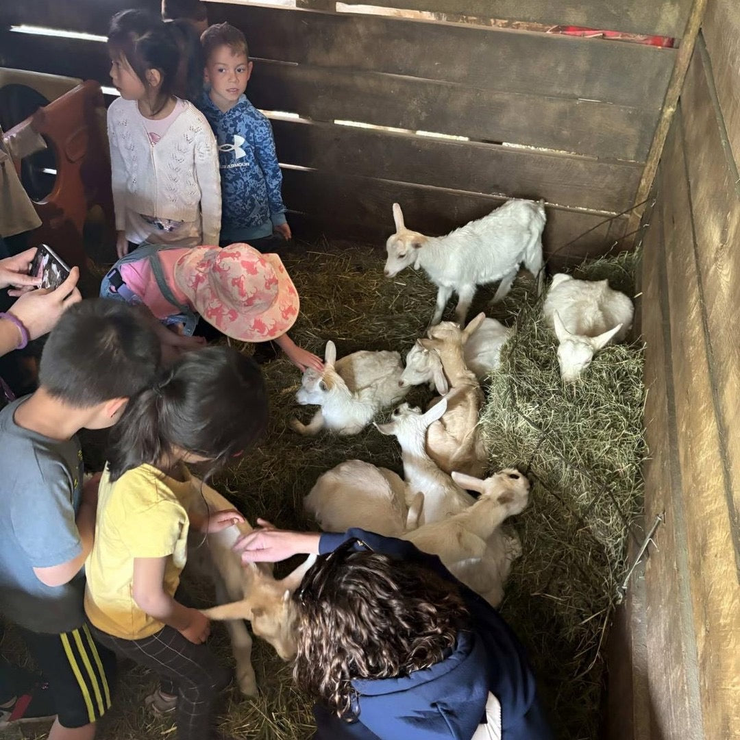 Kids petting baby goats together in a barn stall
