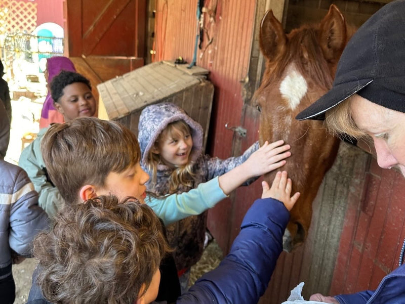 A group of kids petting a horse together on a farm tour