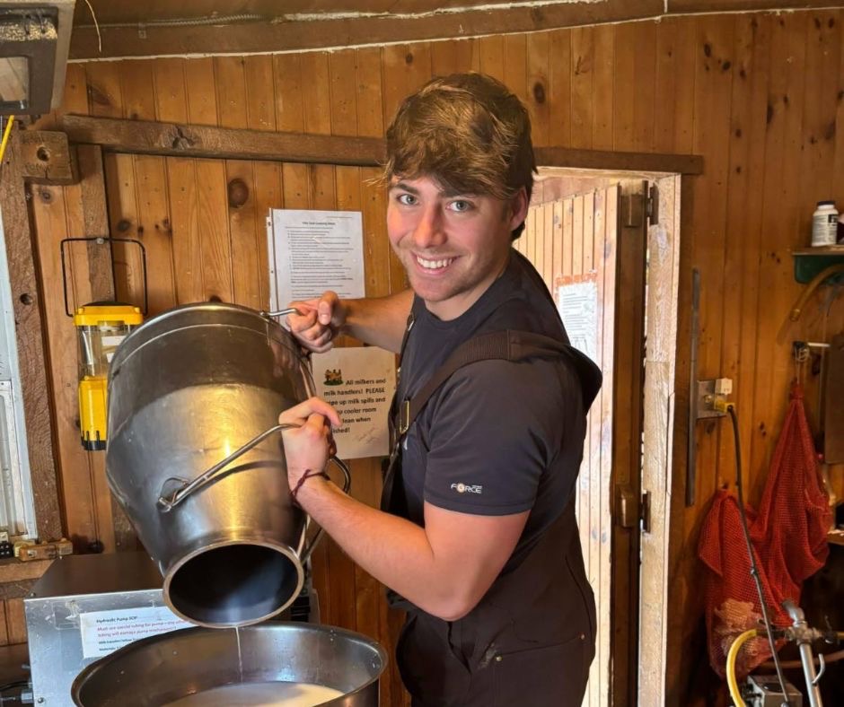 A staff member pouring milk into a steel jug in the milking room